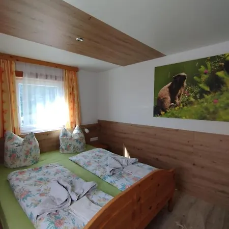 Mooslechnerhof 维京