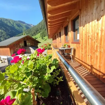 Mooslechnerhof 农家乐