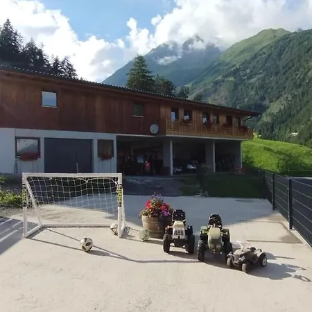 农家乐 Mooslechnerhof