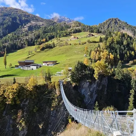 农家乐 Mooslechnerhof 维京