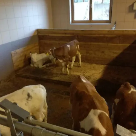 Farm stay Mooslechnerhof