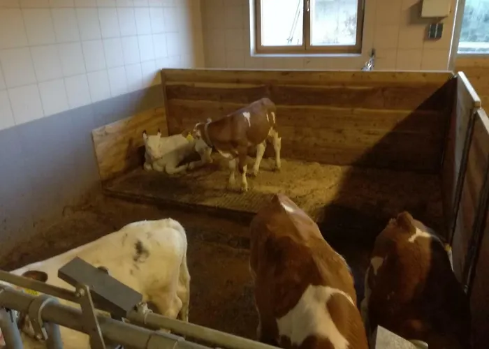 Alojamento de Turismo Rural Mooslechnerhof